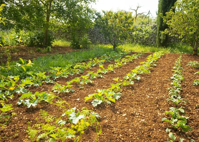 فيلة Helloapulia Trulli Flora - Charming Trulli With Private Pool And Garden
